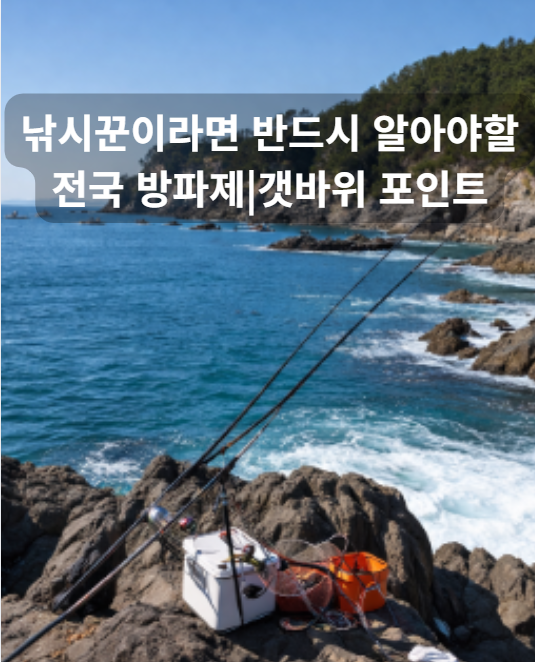 바다낚시 포인트 갯바위, 선착장, 방파제
