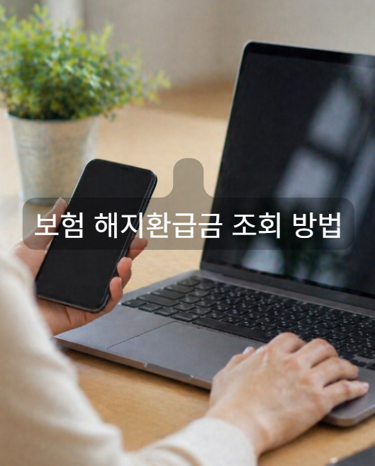 보험 해지 환급금