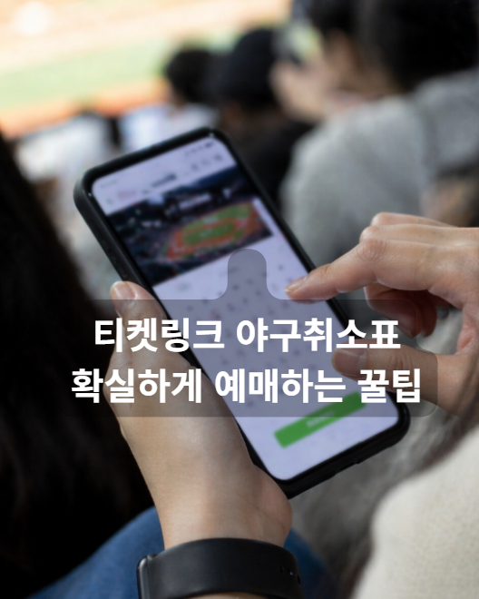 티켓링크 야구취소표