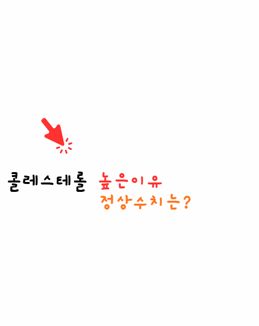 콜레스테롤