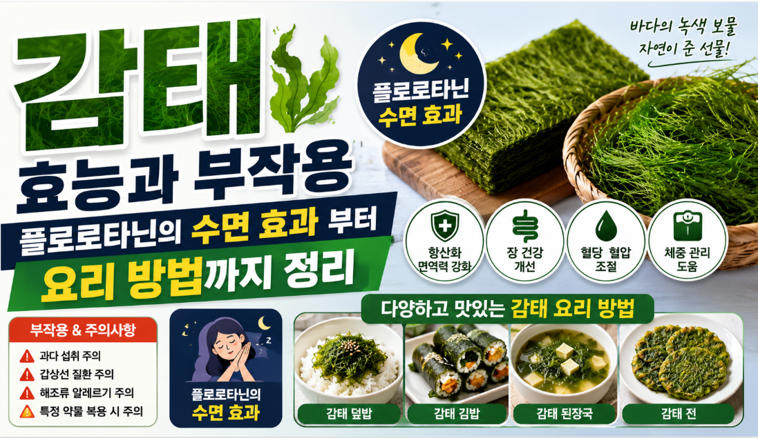 감태 효능과 부작용 플로로타닌의 수면 효과 부터 요리 방법까지 정리 감태 효능과 부작용