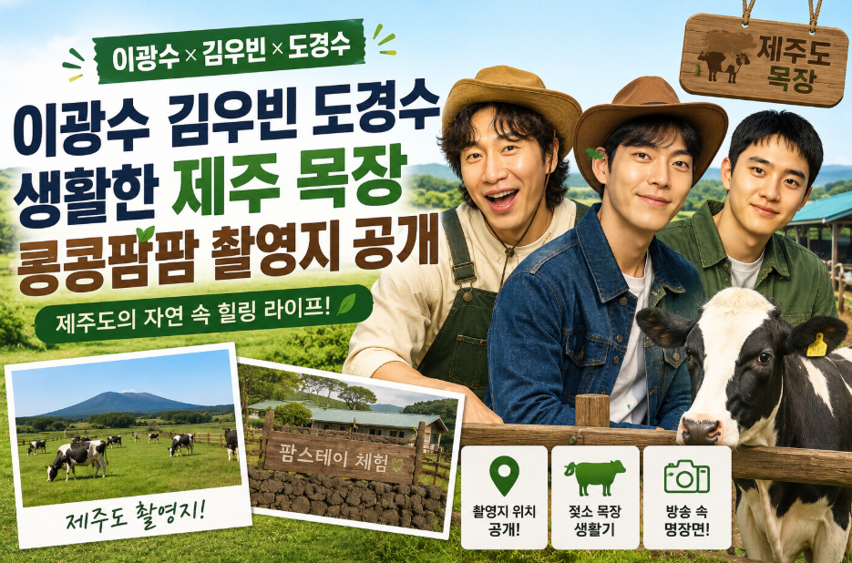콩콩팜팜