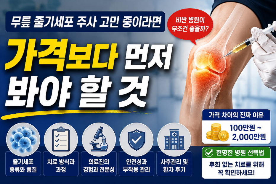 무릎 줄기세포