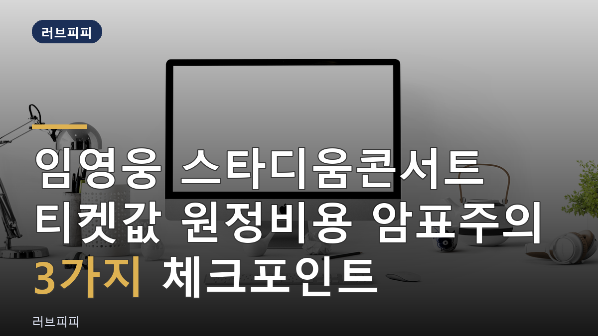 임영웅 스타디움콘서트