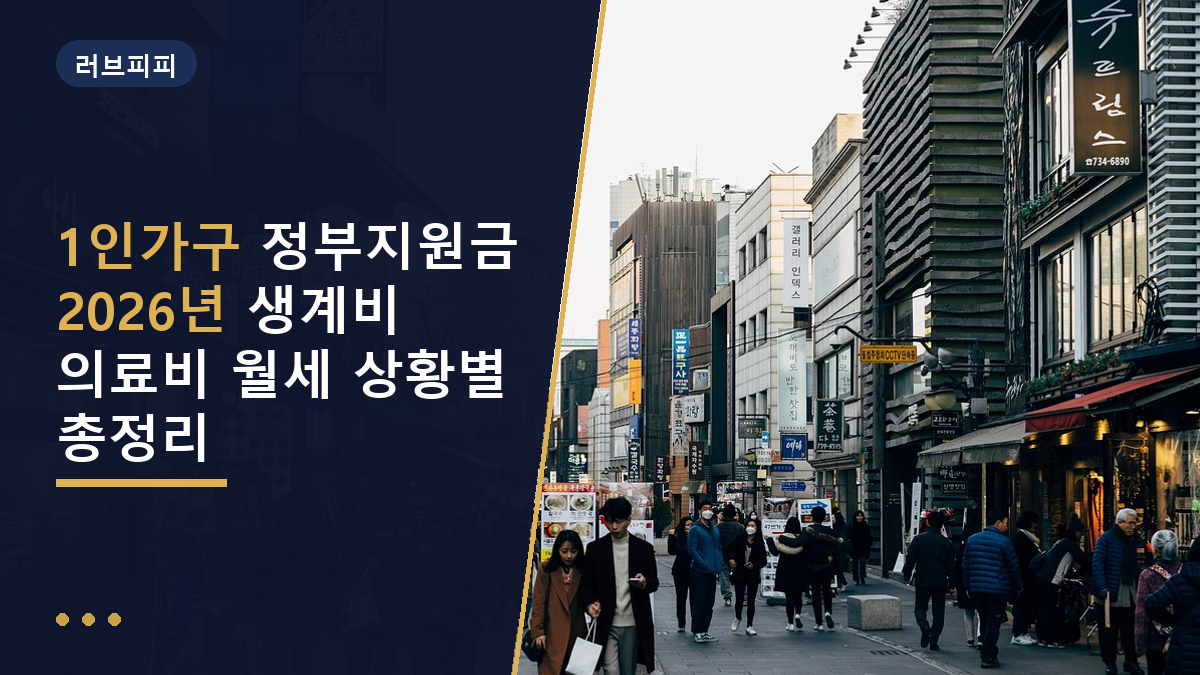 1인가구 정부지원금