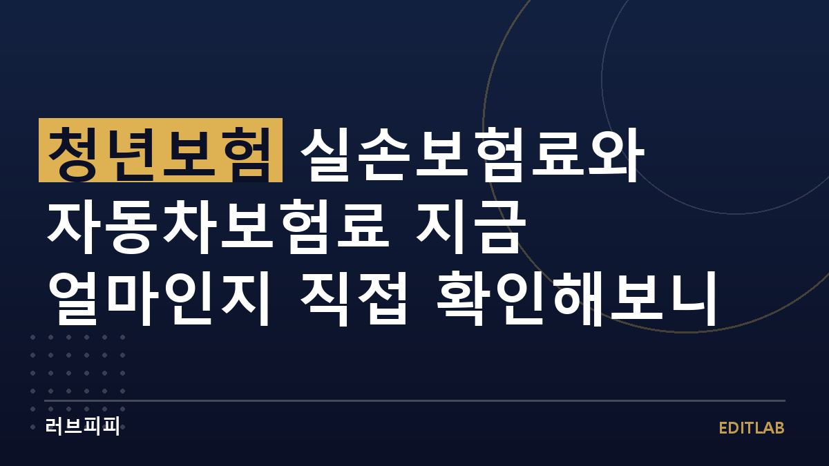 청년보험