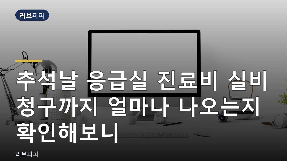 추석날 응급실 진료비