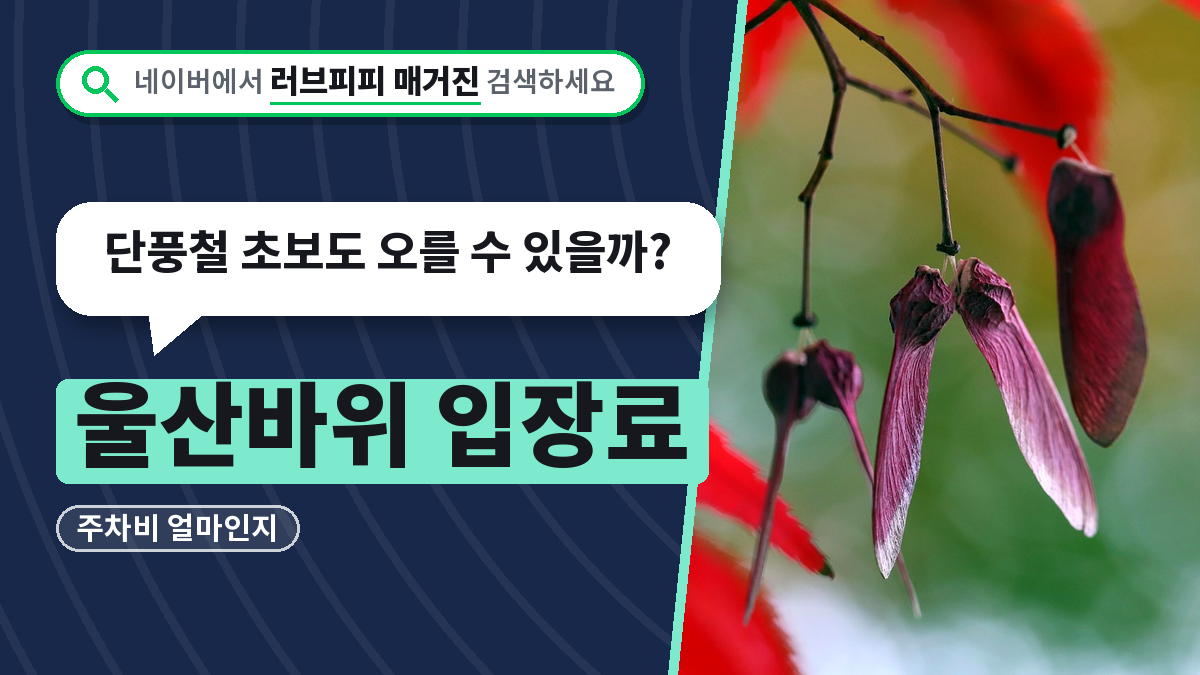 울산바위 입장료