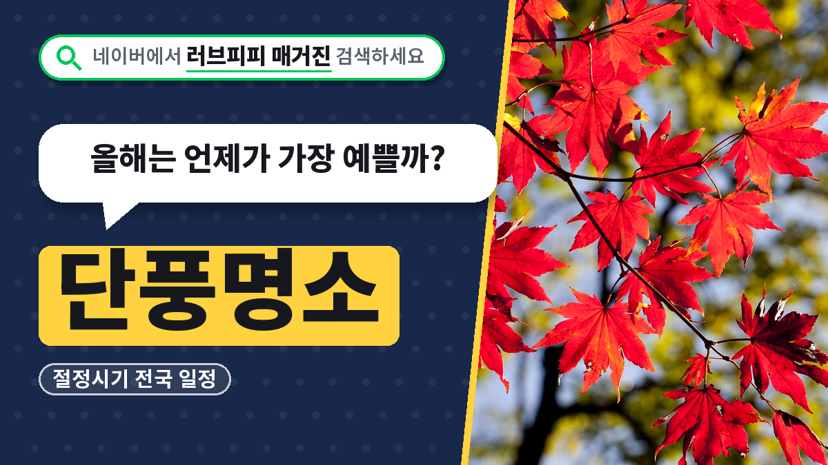 단풍명소