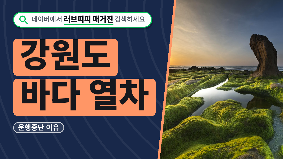 강원도바다열차