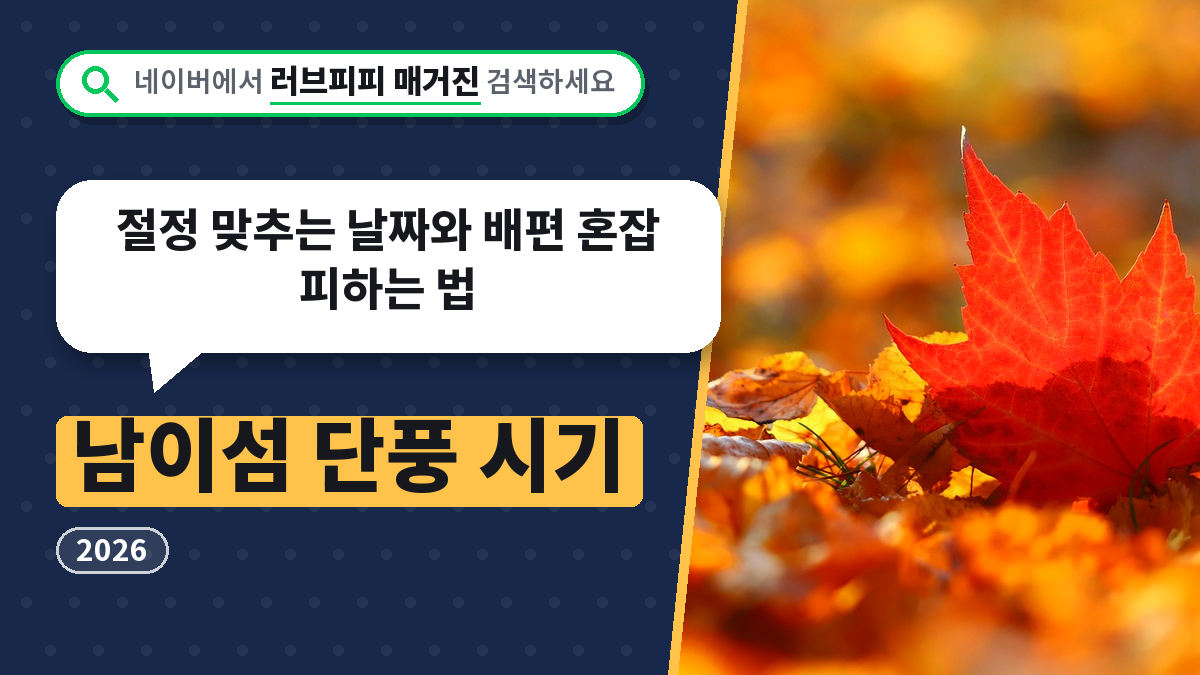 남이섬 단풍 시기