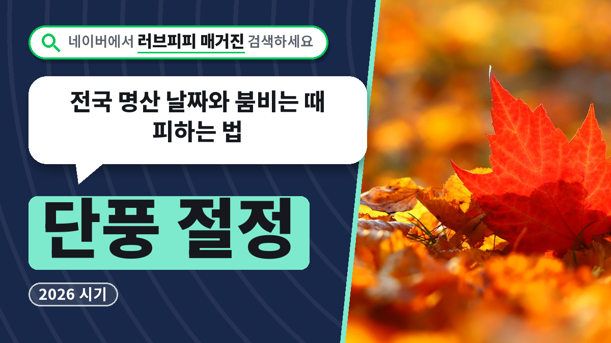 단풍 절정