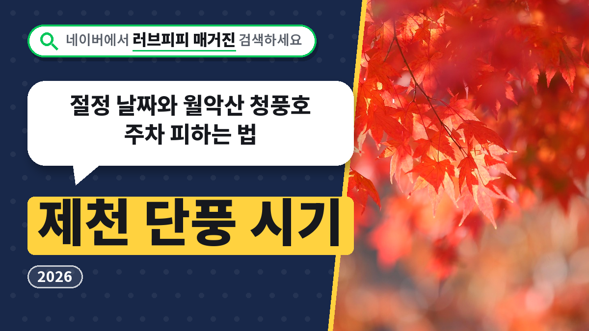 제천 단풍 시기