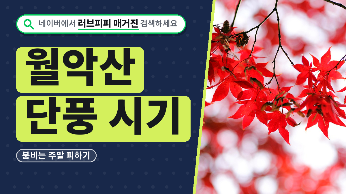 월악산 단풍 시기