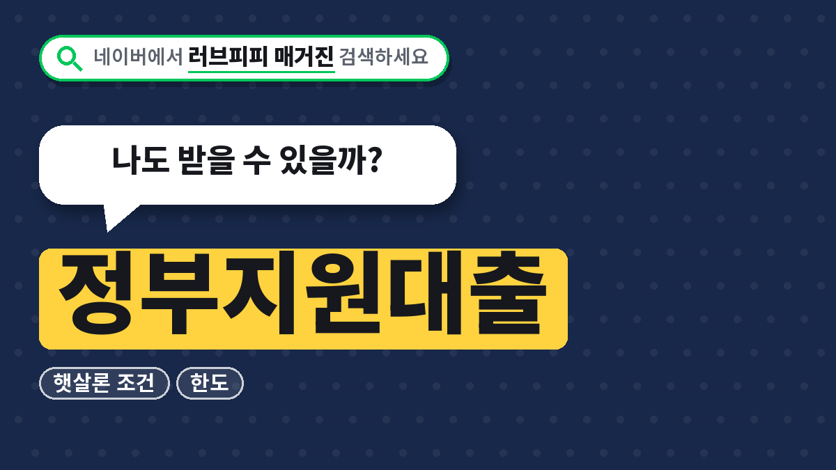 정부지원대출